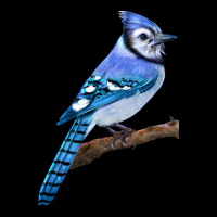 Blue Jay Bird Ladies Tee | Teevron