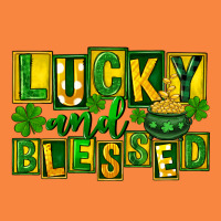 Lucky And Blessed St. Patricks Day Premium Sweatshirt | Teevron