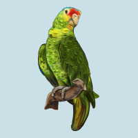 New Zealand Paraket Parrot Ladies Tee | Teevron