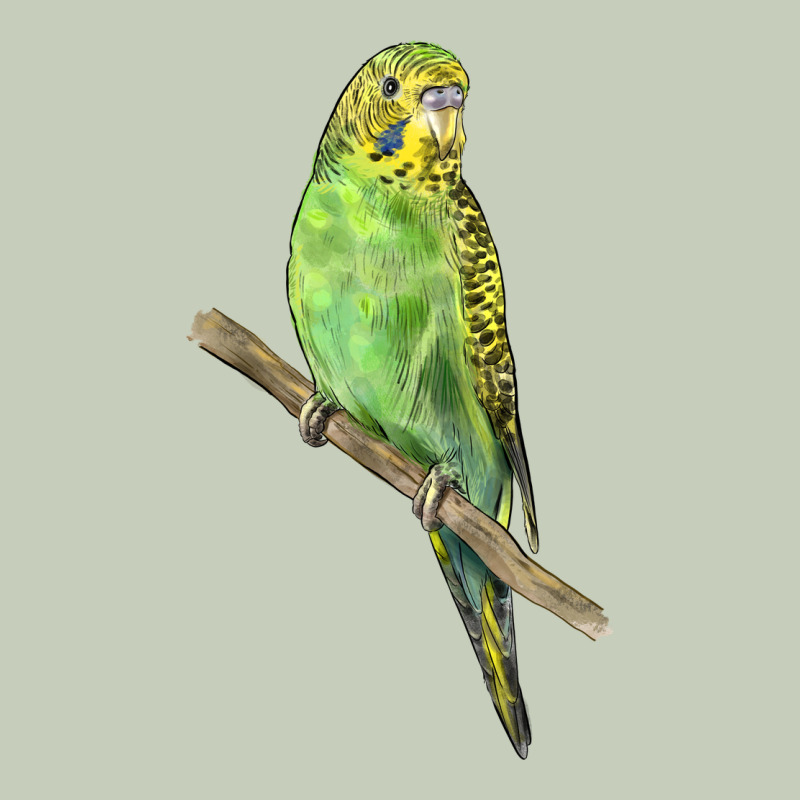 Budgeriar Bird Parrot Ladies Tee by LillyAllenDesigns | Teevron