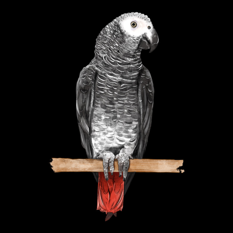 African Gray Parrot Bird Ladies Tee by LillyAllenDesigns | Teevron
