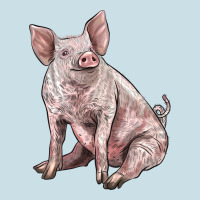 American Yorkshire Pig Ladies Tee | Teevron