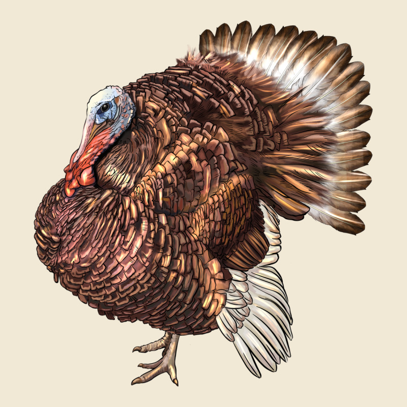 Bourbon Red Turkey Ladies Tee by LillyAllenDesigns | Teevron