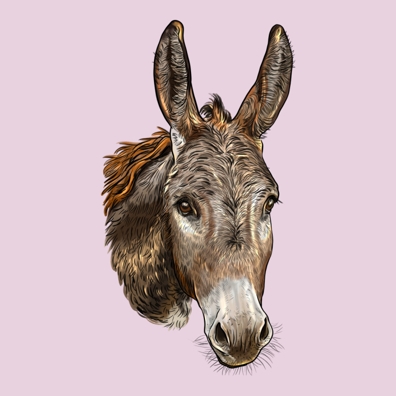 Andalusian Donkey Face Ladies Tee by LillyAllenDesigns | Teevron