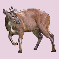Red Brocket Buck Deer Ladies Tee | Teevron