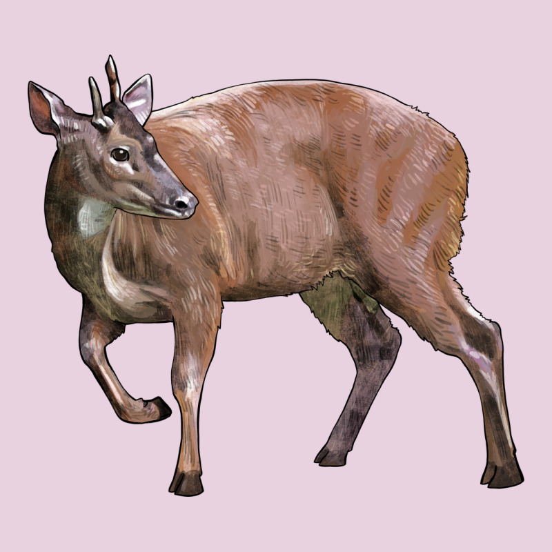 Red Brocket Buck Deer Ladies Tee by LillyAllenDesigns | Teevron