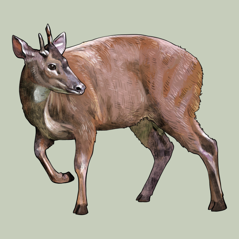 Red Brocket Buck Deer Ladies Tee by LillyAllenDesigns | Teevron