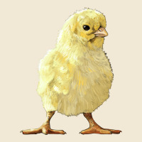Chick Ladies Tee | Teevron