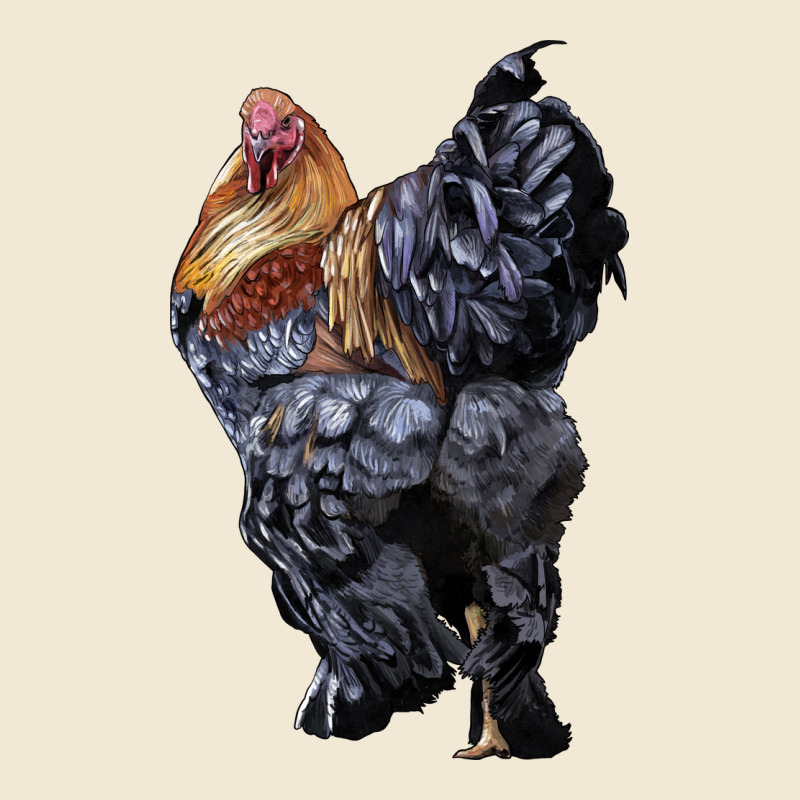 Brahma Rooster Ladies Tee by LillyAllenDesigns | Teevron