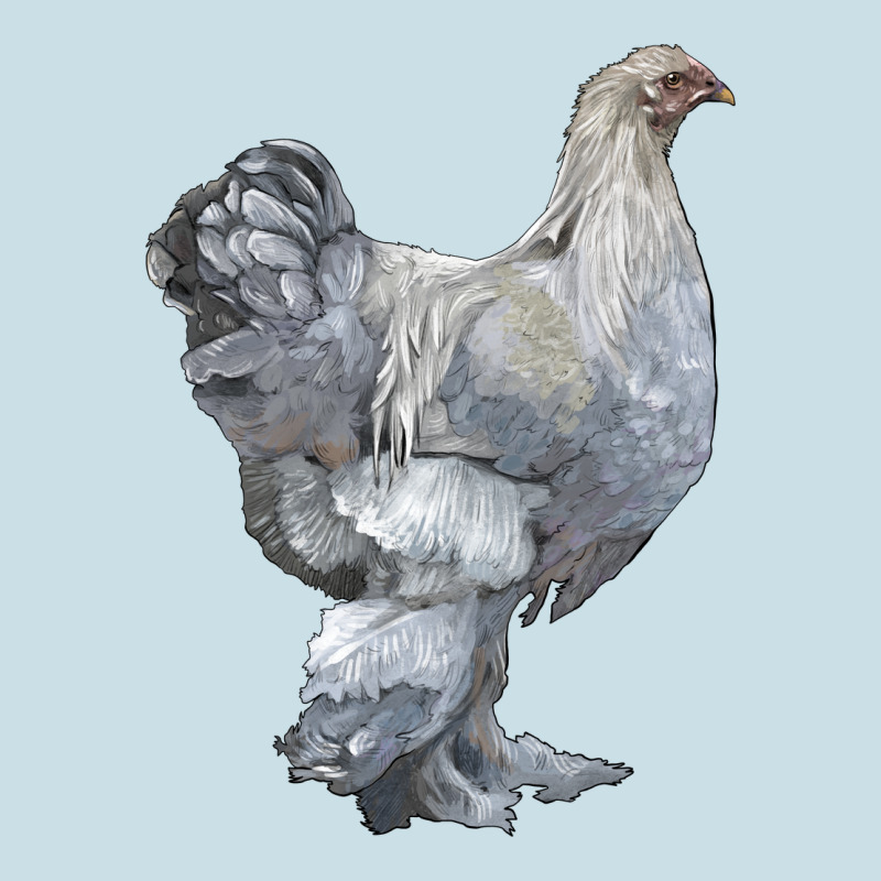 Brahma Chicken Ladies Tee by LillyAllenDesigns | Teevron
