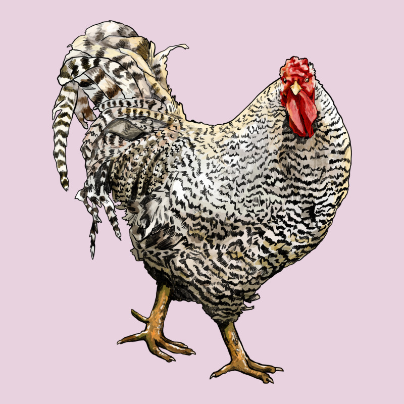 Dominique Rooster Ladies Tee by LillyAllenDesigns | Teevron