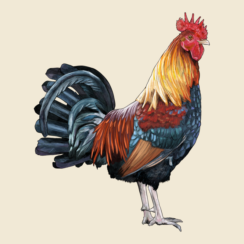 New Hampshire Red Rooster Ladies Tee by LillyAllenDesigns | Teevron