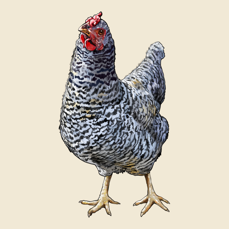Dominique Chicken Ladies Tee by LillyAllenDesigns | Teevron