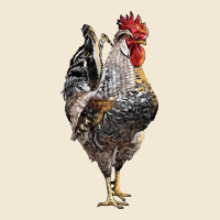 Cream Legbar Rooster Ladies Tee | Teevron