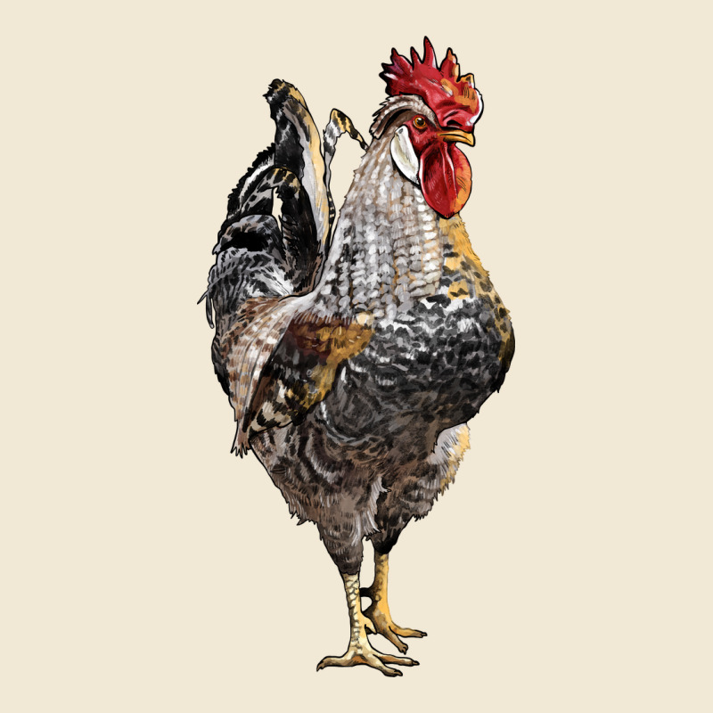 Cream Legbar Rooster Ladies Tee by LillyAllenDesigns | Teevron