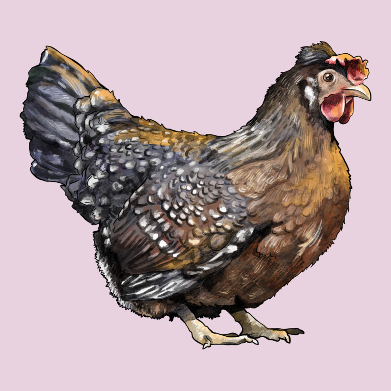 Cream Legbar Chicken Ladies Tee by LillyAllenDesigns | Teevron