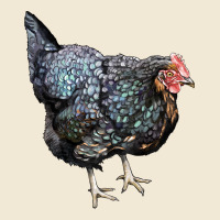 Jersey Giant Chicken Ladies Tee | Teevron