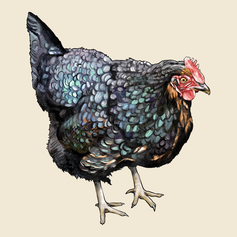 Jersey Giant Chicken Ladies Tee by LillyAllenDesigns | Teevron