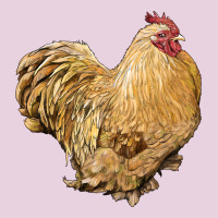 Cochin Rooster Ladies Tee | Teevron