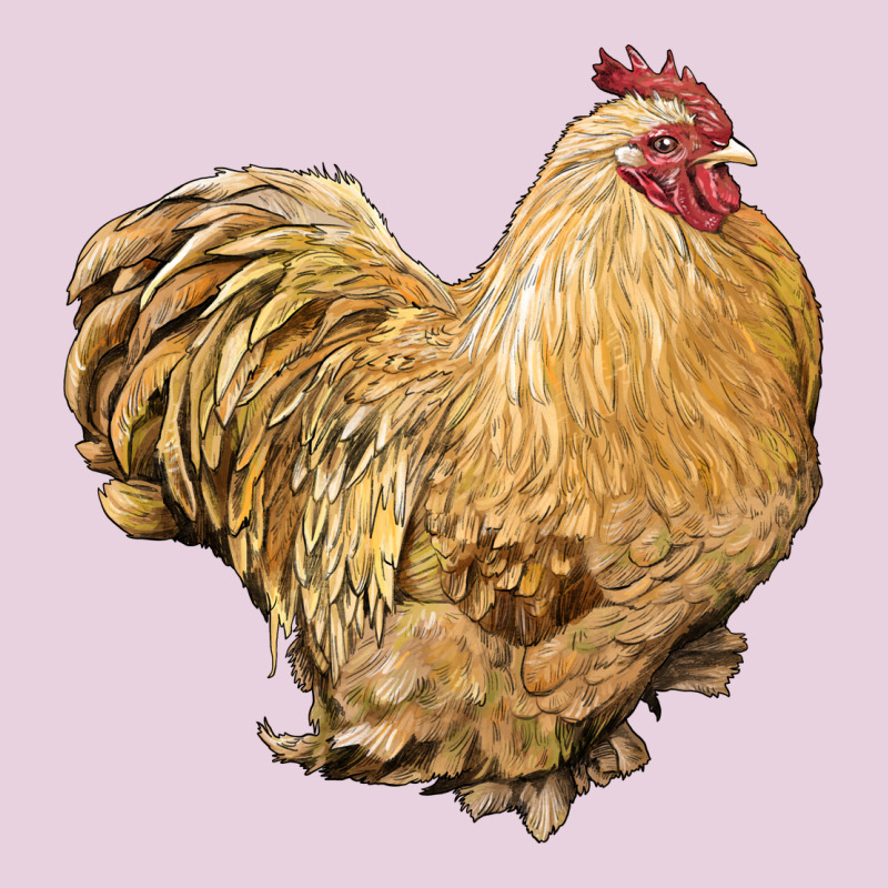 Cochin Rooster Ladies Tee by LillyAllenDesigns | Teevron