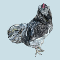Ameraucana Rooster Ladies Tee | Teevron