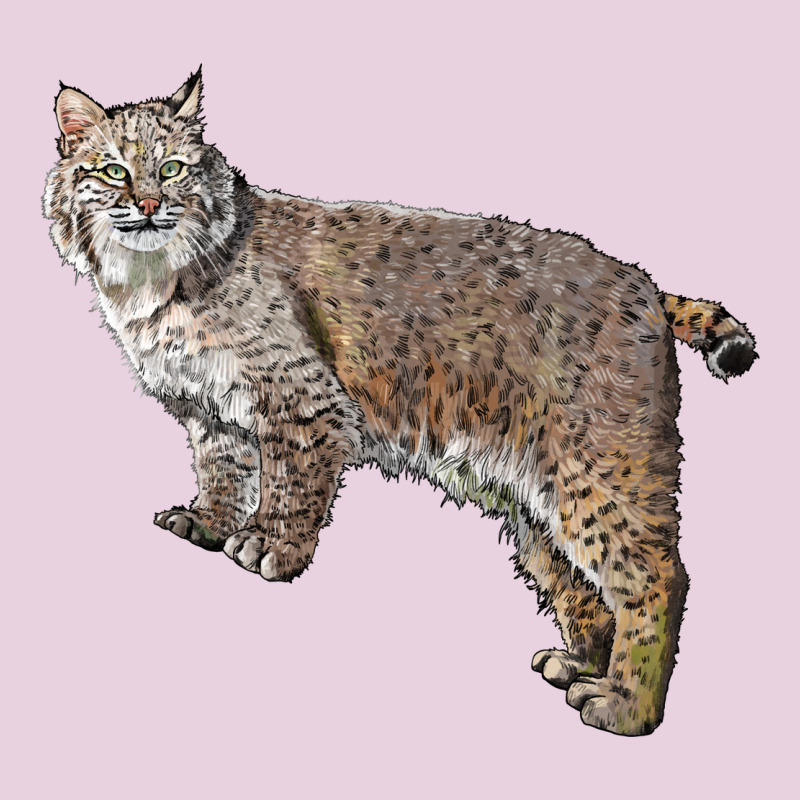 Bobcat Ladies Tee by LillyAllenDesigns | Teevron