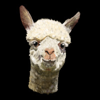Alpaca Head Ladies Tee | Teevron