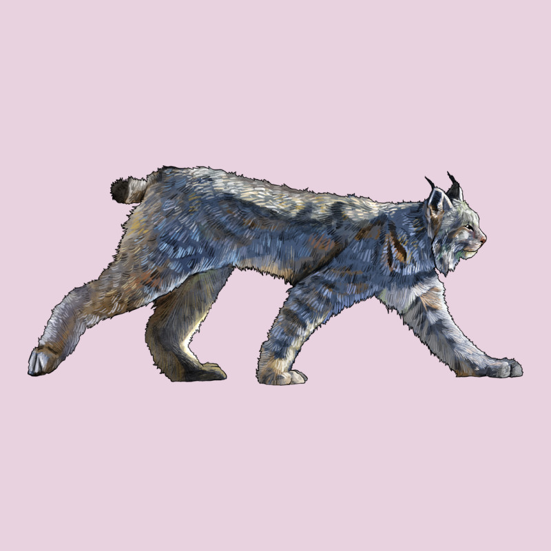 Canada Lynx Ladies Tee by LillyAllenDesigns | Teevron