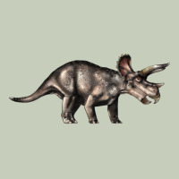 Triceratops Horridus Ladies Tee | Teevron