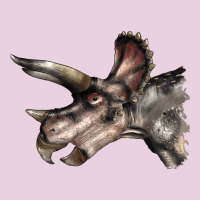 Triceratops Horridus Face Ladies Tee | Teevron