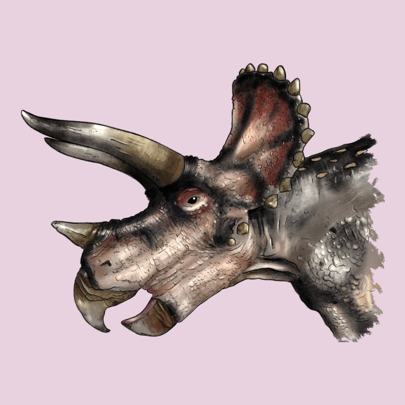 Triceratops Horridus Face Ladies Tee by LillyAllenDesigns | Teevron