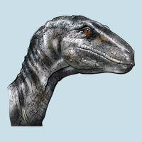 Velociraptor Face Ladies Tee | Teevron