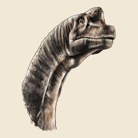 Brachiosaurus Face Ladies Tee | Teevron