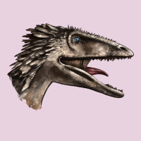 Deinonychus Face Ladies Tee | Teevron
