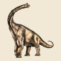 Brachiosaurus Ladies Tee | Teevron