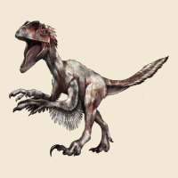 Deinonychus Ladies Tee | Teevron
