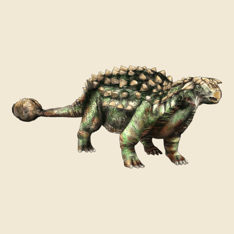 Ankylosaurus T-rex Ladies Tee by LillyAllenDesigns | Teevron