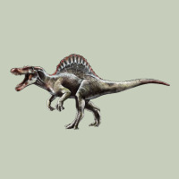 Spinosaurus Ladies Tee | Teevron