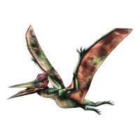 Pteranodon | Teevron