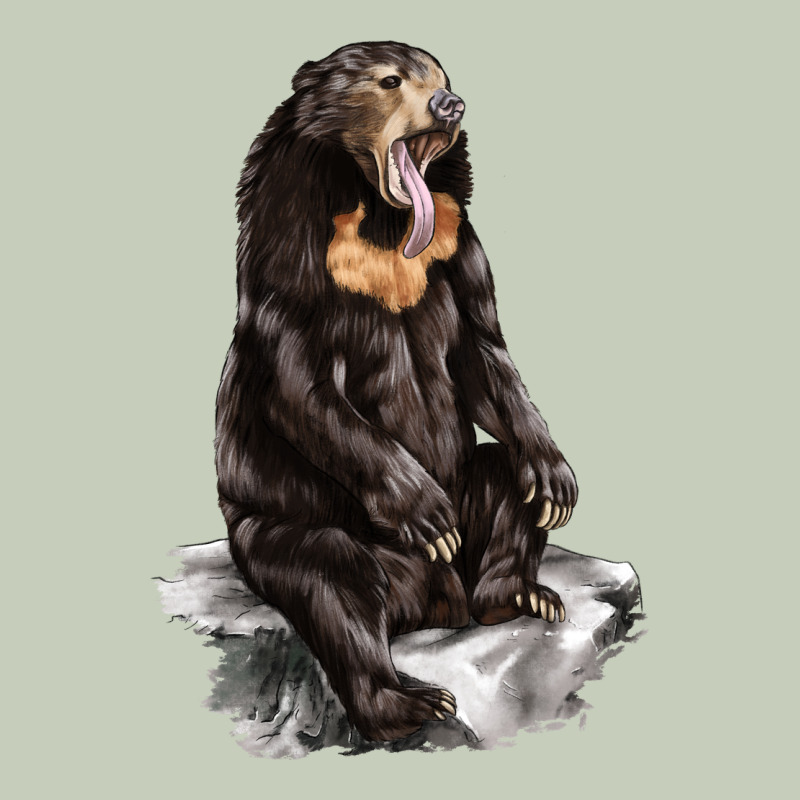 Malayan Sun Bear Ladies Tee by LillyAllenDesigns | Teevron