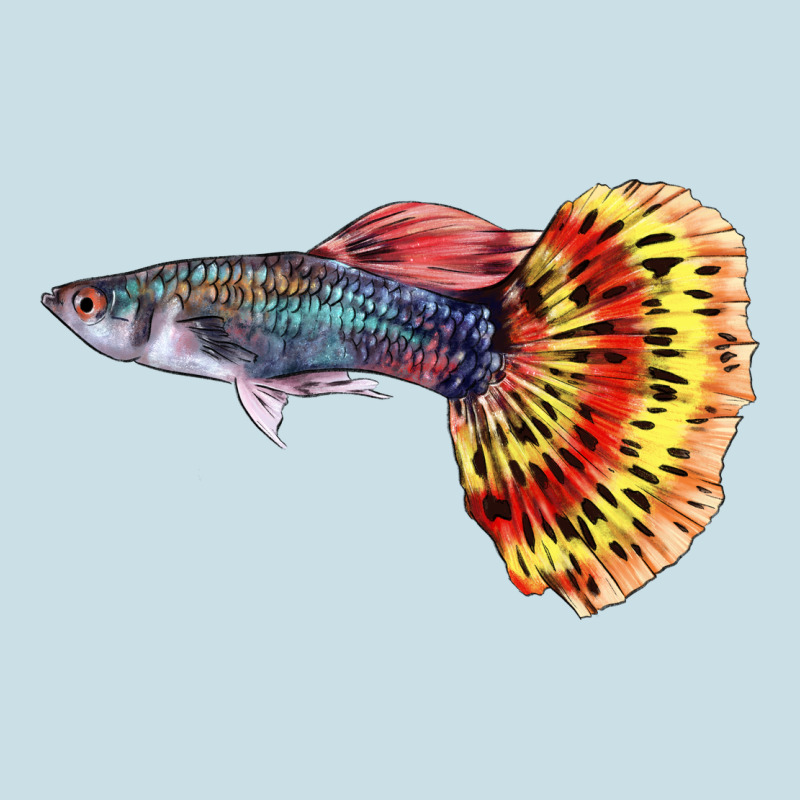 Guppy Fish Ladies Tee by LillyAllenDesigns | Teevron