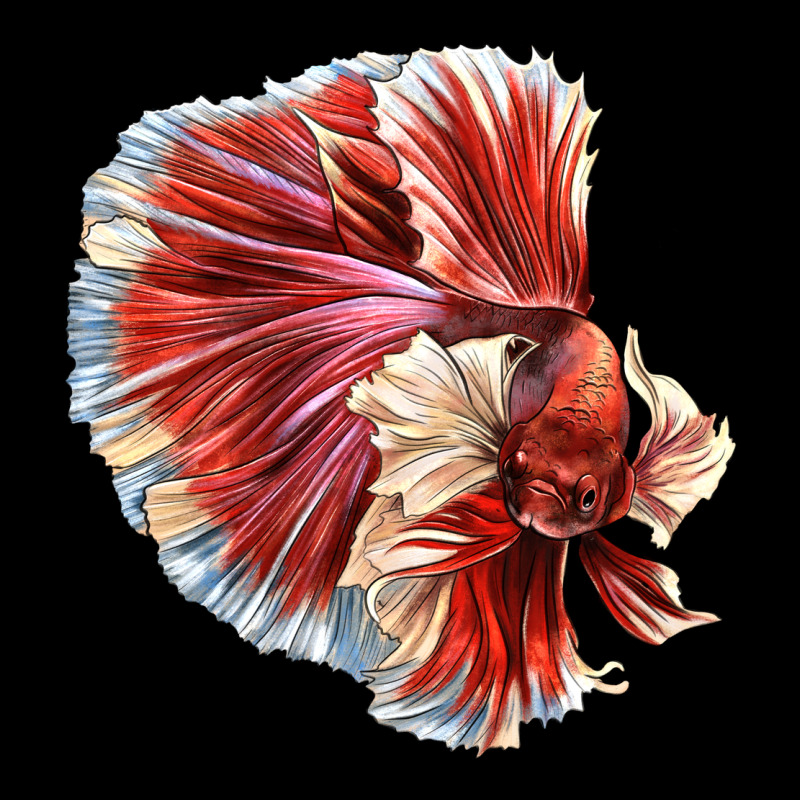 Betta Fish Ladies Tee by LillyAllenDesigns | Teevron