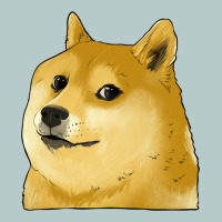 Doge Coin Shiba Dog Heavy Core Tee | Teevron