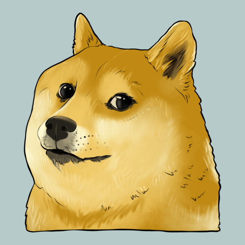 Doge Coin Shiba Dog Heavy Core Tee by Jasminsmagicworld | Teevron