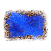 gemstone blue leopard background | Teevron