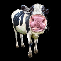 Cute Holstein Ladies Tee | Teevron