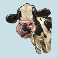 Cute Holstein Heifer Ladies Tee | Teevron