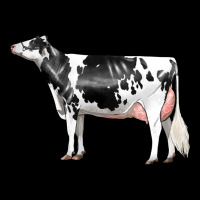 Holstein Dairy Cow Ladies Tee | Teevron