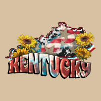 Kentucky 4th Of July Heavyweight Hoodie | Teevron