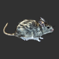 Packrat Aka, Woodrat Urban Heavy Tee | Teevron